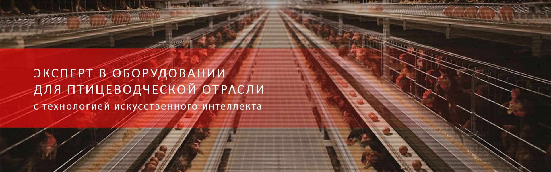 Эксперт в области интеллектуального производства оборудования для животноводства Эксперт в области интеллектуального производства оборудования для животноводства